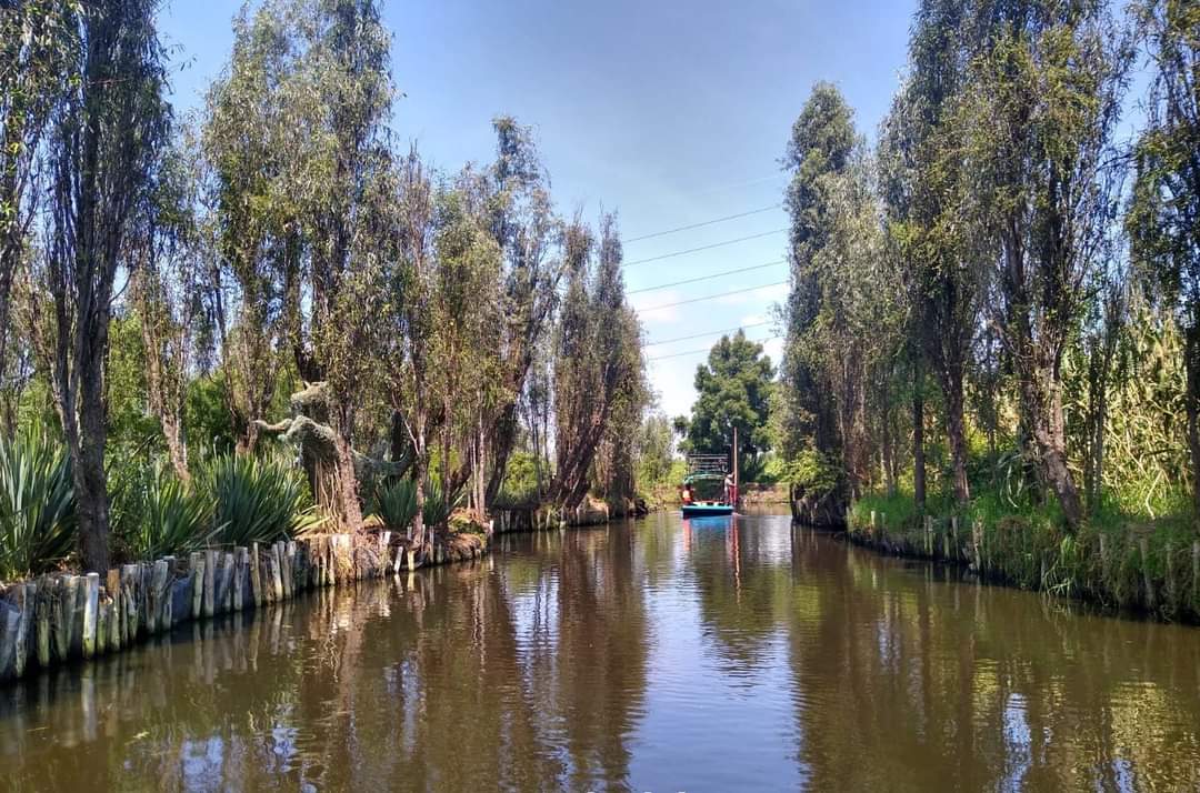 Comienza tu día con este bello paisaje de nuestro #Xochimilco . #FelizMiércoles