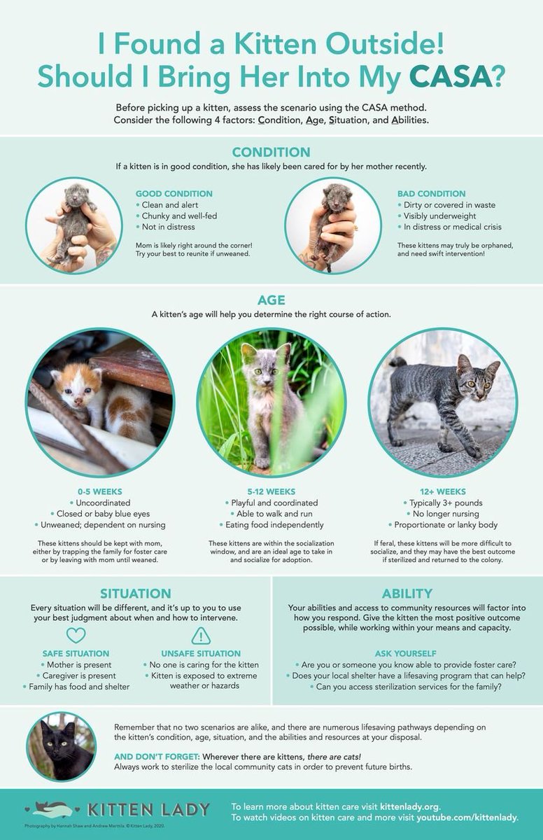 Mr. Grumbles (@grumbles_mr) on Twitter photo 