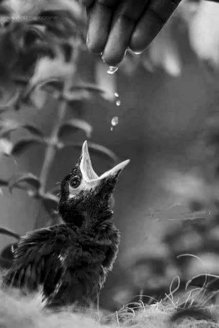 ق س tweet media
