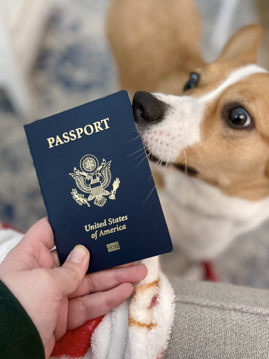 Arrived right on time… and corgi approved! Ready for @GA_Conf EU ✈️✨