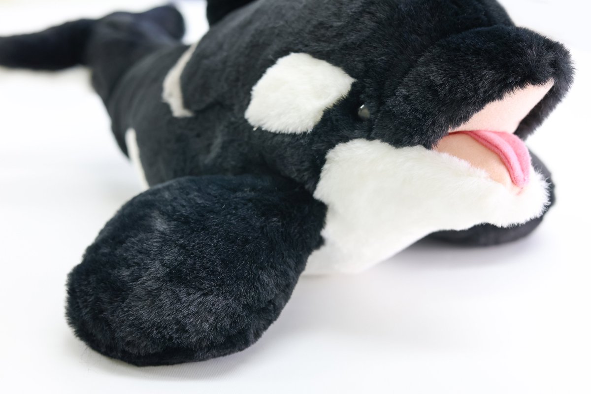 鴨川シーワールド【公式】 on X