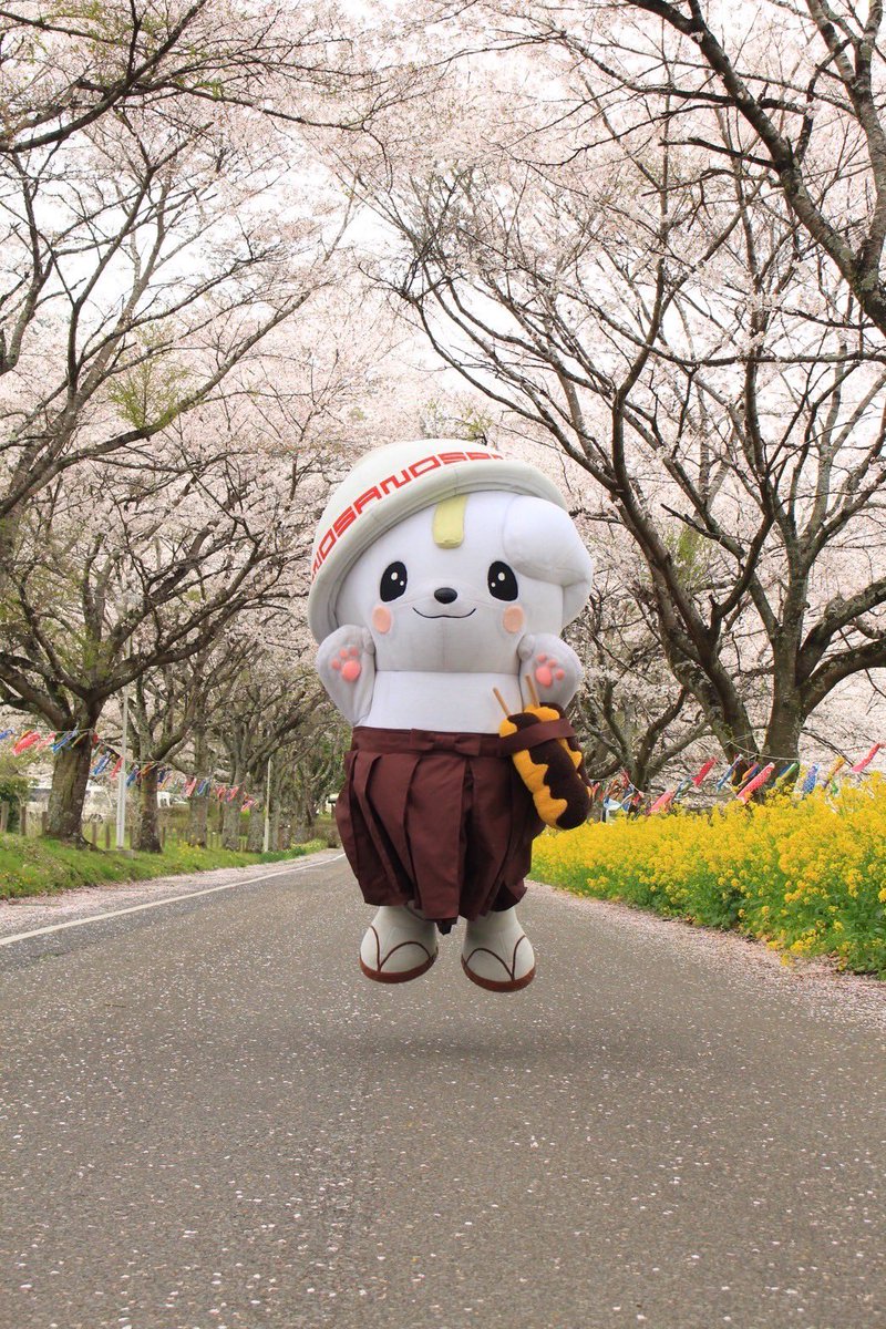 グーもーにん♬ さくらのトンネル！(๑>◡<๑) #根古屋森林公園 #4月12日の桜