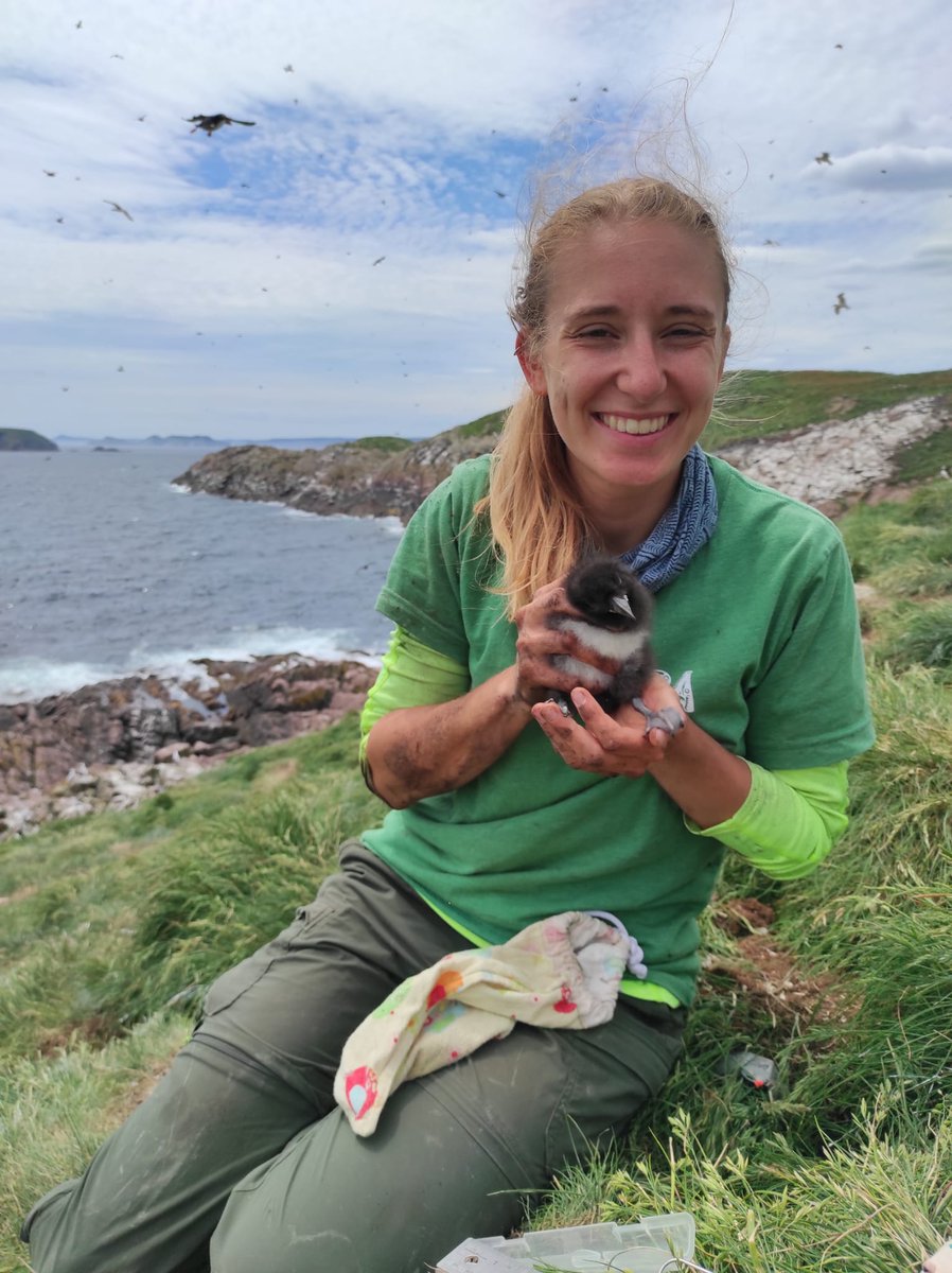 #WomenInSeabirdScience
Katja Kochvar <a href="/gotcha__katja/">Katja Kochvar</a> is a PhD Student at Princeton University who researched #animalcommincation and the potential adaptive function of the #AtlanticPuffin colourful bill