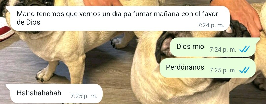 AngelyMoraa's tweet photo. se depravo :v https://t.co/yXFyHaTb5A