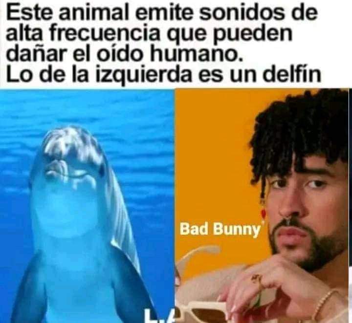 rcparanoid's tweet photo. @LuisLuiskiss1 @RexyGrace @mrSpeedy83 @xxplodeath @JaHOz @mistiquito23 @plesiosaurio72 @Francis42634137 @ROchenteros @ERADINOSAURIO @ivamodewilder @Lapecasbill @zazuve @csargalagerock @MonsterCas2 @VocacionReactor @rafatofico @gloripondia @itzcoatl666 @DStormblast @barondelterror @alecitamendoza7 @rebelcuever95 @JuanMan00421638 @LuisMaiden @HueleALegion @OctaOsnmn @Pirock12 @luisalaouija @polazopunk @d_tripa @Brujabamp @imagine_092 @JuliaOlivares @jesusfuckhrist @lucilazetina @claus_rguez @corredavidcorre @LittleZopi @Rafa54989696 @mauricio_rey1 @prestareactor @leiramchdz @lamaquina105 @RockJinete @eddygovea @FabianDuron @BBeat105 Ya reportandome banda!!!  Disfrutando de las carnitas para la hora de la comida!!! Con El buen King metal!!! #itinerante #bbeat105 Hablando de animales y musica que hace daño... https://t.co/mt4EI4vVrN