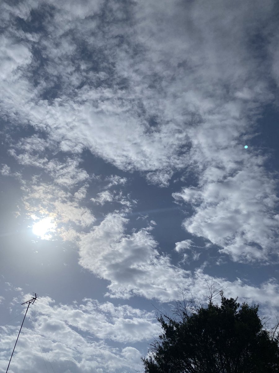 chako3692's tweet photo. おはようございます
今日もいい天気
今の時���から夏になるまでの
雰囲気も好き
#イマソラ
#スマホカメラ
#写真 https://t.co/EcLzZb7L2u