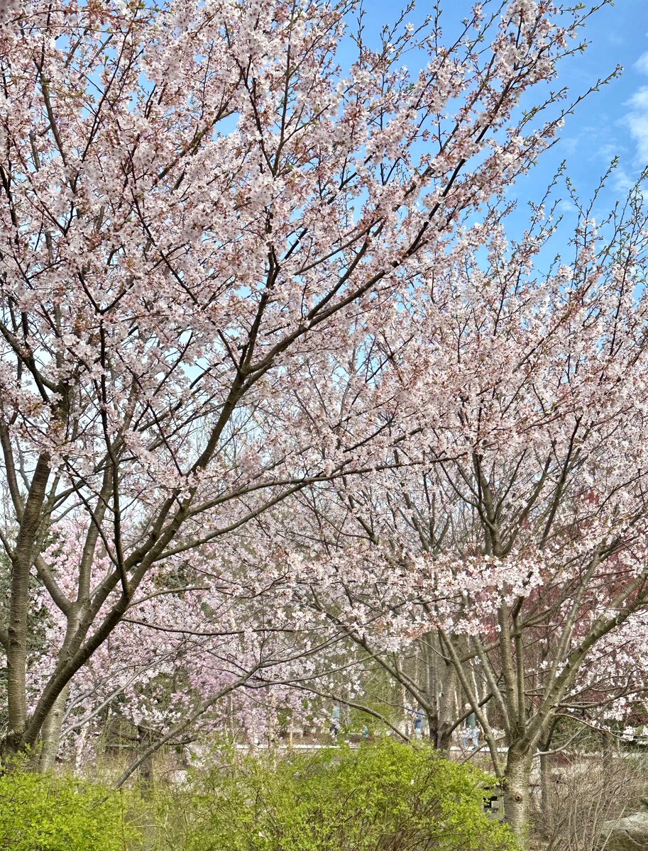 Jenn Leaver tweet media