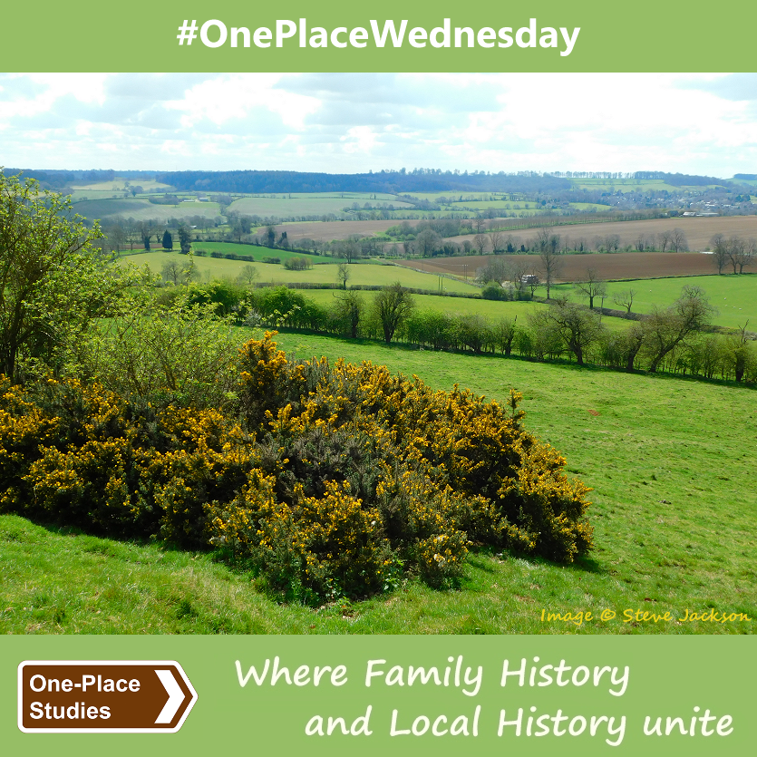 Another #OnePlaceSpring view on #OnePlaceWednesday! Why not use the hashtag to contribute your #OnePlaceStudy news, views, pictures, questions, tips, blog posts and other useful links and info to our midweek, day-long OPS chat?