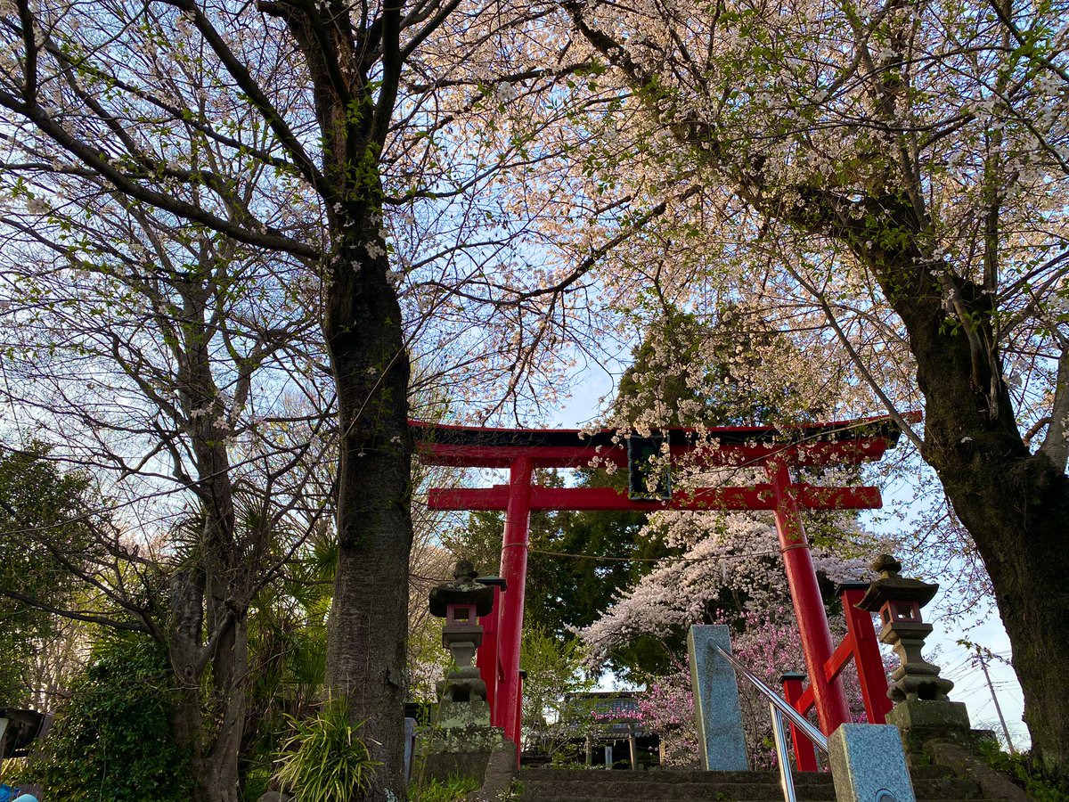 おはようございます☀

週の真ん中水曜日✨
朝から気持ちいい天気(^｡^)

今日も暑くなるみたいですね〜😚

もう冬キャンプ用品は必要ないだろうな💦

少しずつ片付けていこう👍

冬キャンプは楽しいけど、荷物が増えるのがネックだったからな(^◇^;)

これで少しは少ない荷物でキャンプできます🏕️