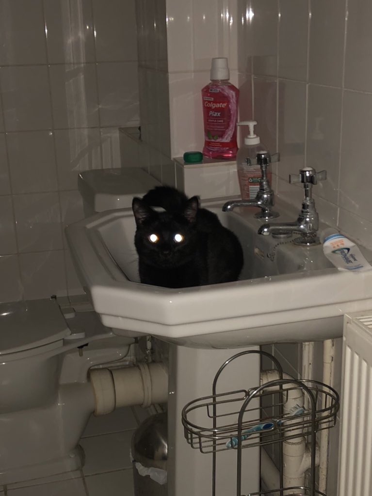 <a href="/lilKatniss7/">🇵🇸Katniss Viviénne Everbean Mellark Ghauri</a> WHATTAHELL I’M DO IN HEAR
I DON’T THE LONG HEAR