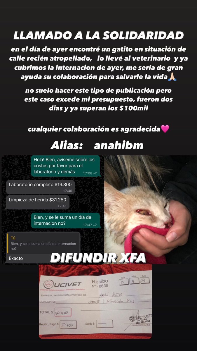 necesita cirugía por fractura de mandíbula, estudios por posible enfermedad de pulga y anemia, y hoy tuvo convulsiones producido por el golpe que tiene en la cabeza🥺

Compartiendo es suficiente, gracias!