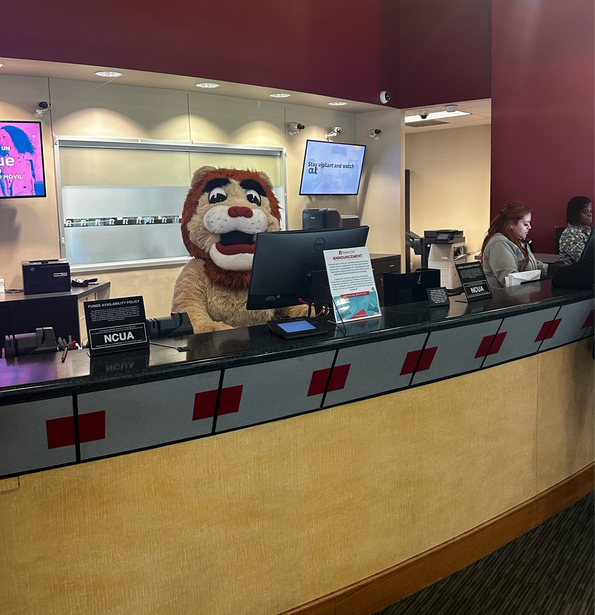 Roary's on the move! Can you track him down? See you next Saturday for a roaring good time! 🎉Where? At our North Garland branch in Arapaho, of course! 🦁 10am-12pm.