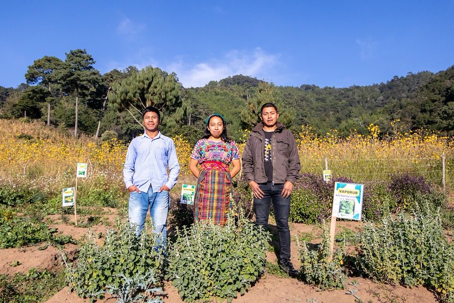 Indigenous youth in Guatemala are at the forefront of fighting the planetary crisis through sustainable agriculture. With support from @GEF_SGP+@PNUDGuatemala see how young leaders are driving transformative change. #UNPFII2024 go.undp.org/Zku