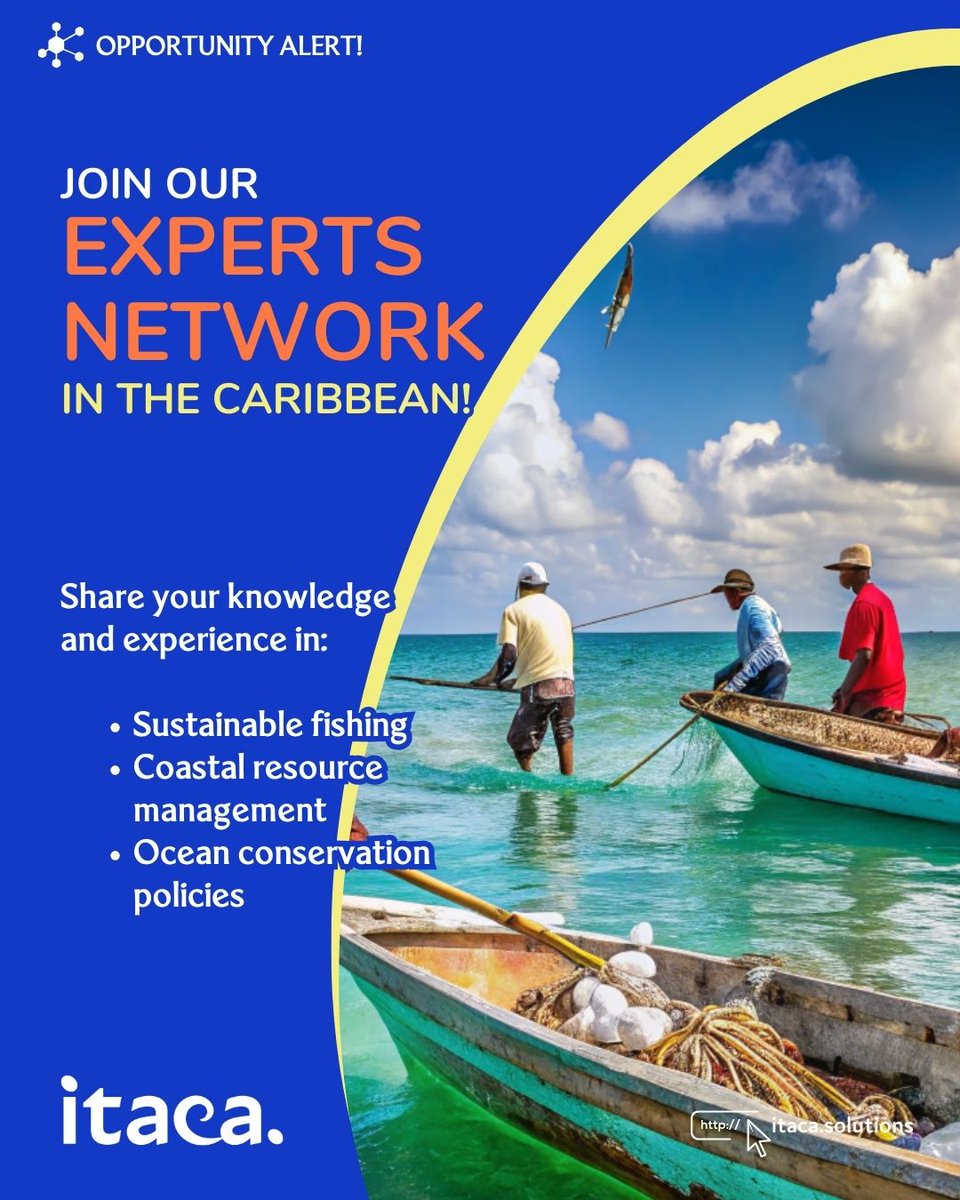 ItacaSolutions's tweet photo. Calling Caribbean coastal and marine experts!
We are looking for individuals with experience in:
Sustainable fishing practices
Marine Protected Areas
Ocean pollution
Climate change impacts on marine ecosystems
Register➡️https://t.co/qhvqvrF0Gt
#Caribbean #Fishing #ItacaNetwork https://t.co/PmpF6jwPvV