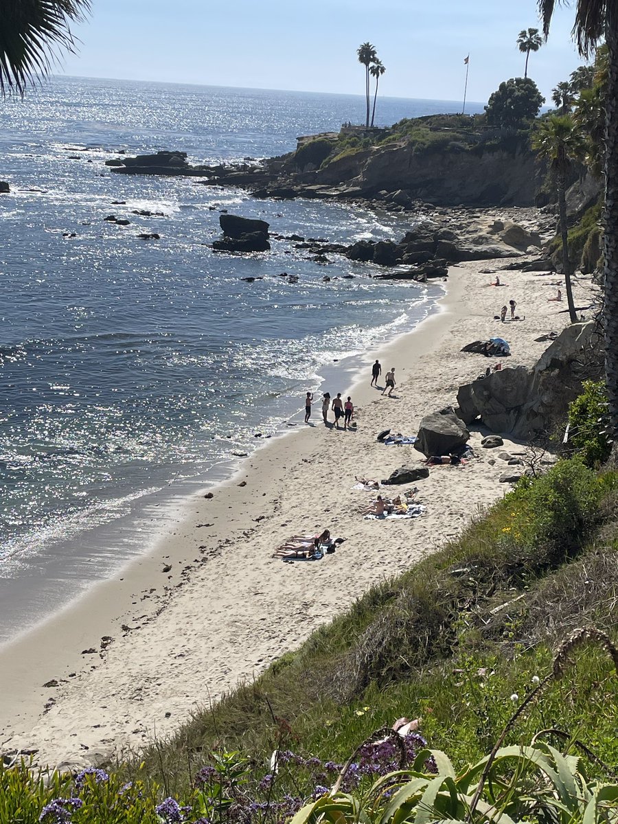 What an incredible team pictured here. Grateful to work with Orange County DOE Early Childhood teachers & admin today and then enjoy a beautiful afternoon at Laguna Beach. Always take time to #recalibrate