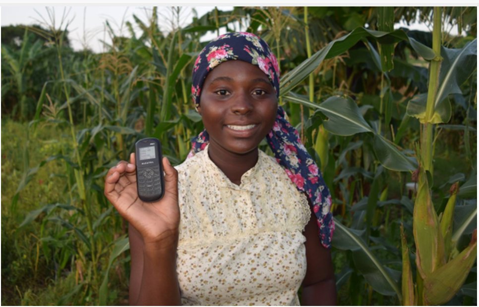 Researchers in #Malawi are testing a mobile phone app designed to help reduce food loss and waste which can lead to higher earnings for farmers & market vendors. Learn more about the app and the findings: ow.ly/1ECF50RgyfL @ICED_THINKTANK @MRRInnovLab #FLW #EndHunger