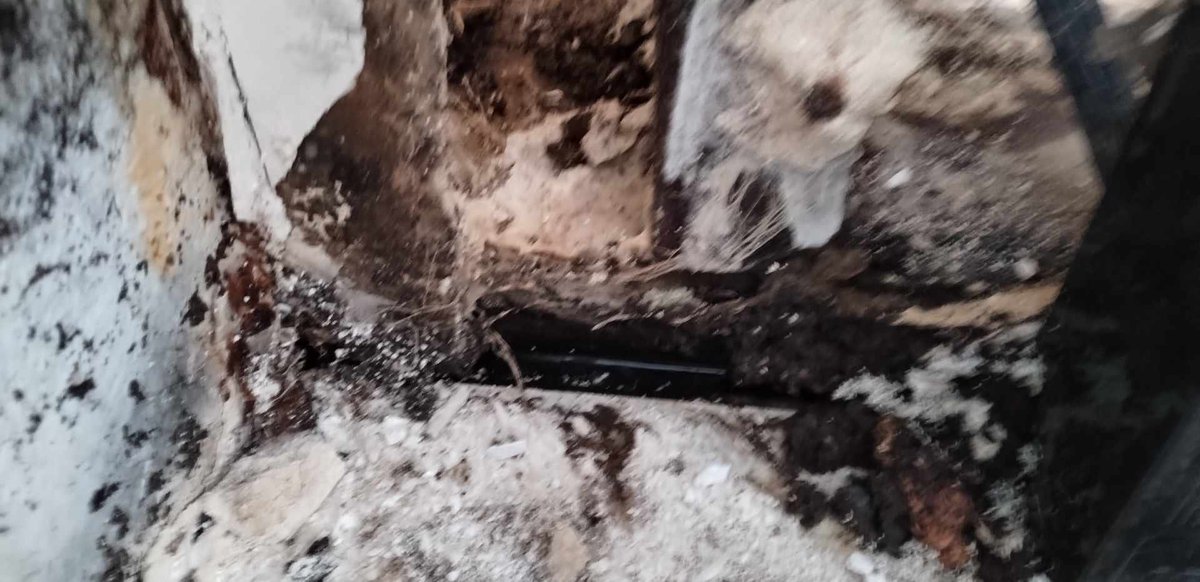 ServiceMasterSR's tweet photo. Water damage with existing mold removal required by ServiceMaster SRQ Mold Removal Experts. We had it post tested and will require further cleaning from Black Mold present. https://t.co/3s4QYYLwTR
