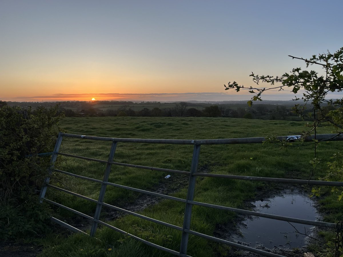 Cold & clear on our #MorningWalk pretty Bluebells and Stitchwort, Mallard fly past, sooty smoke at the top of the lane, heard Blackbird, Crow, Chiffchaff, Chaffinch, Wood pigeon & Stock dove, caught the #Sunrise on the way back 🥾🌿❄️