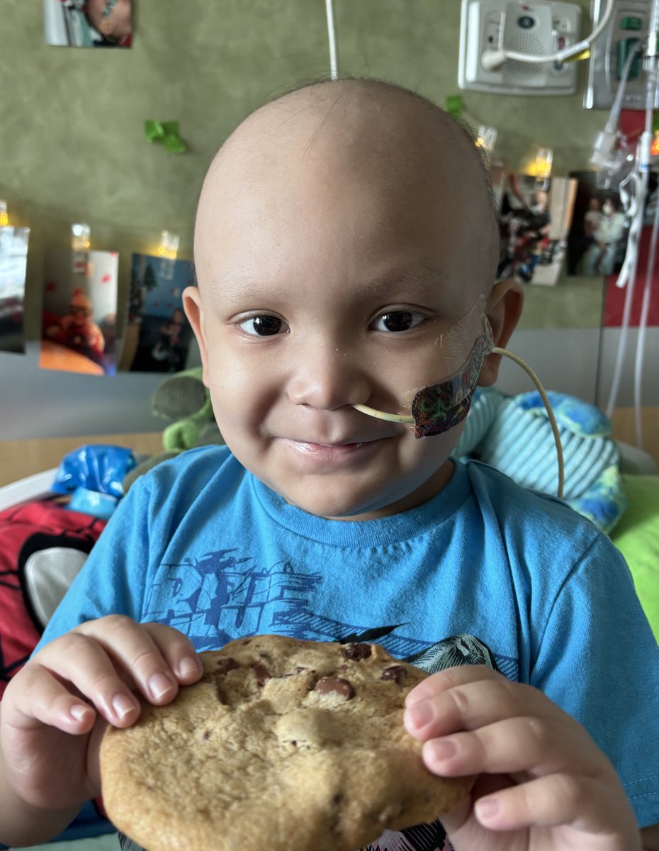 aniwill11's tweet photo. Our Mighty Ollie needs your help!  He is currently fighting AML.  Check out Ollie’s Instagram page on ways to help! 🦖💛🧡💚🫶🏽
 https://t.co/T4KDo68pSl https://t.co/W7V9srFcrF