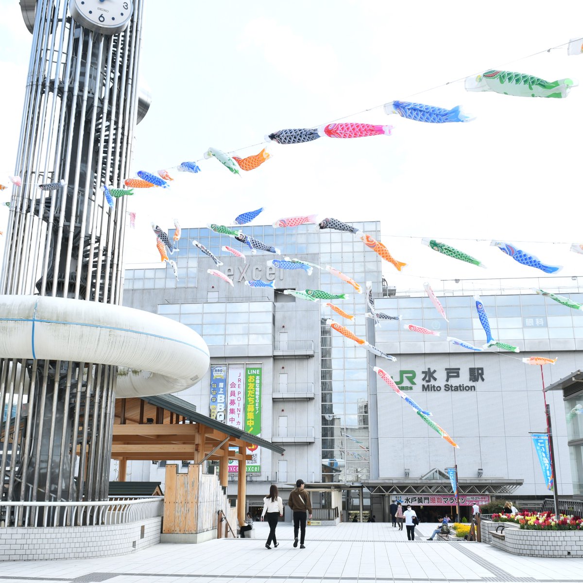 【こいのぼりまつり】
水戸駅北口の空をこいのぼりが泳いでいます。ぜひ写真を撮りにお出かけください🎏

※水戸駅前商店会主催。5月8日(火)まで(予定)。
#水戸市 #水戸 #水戸城 #こいのぼり #鯉のぼり