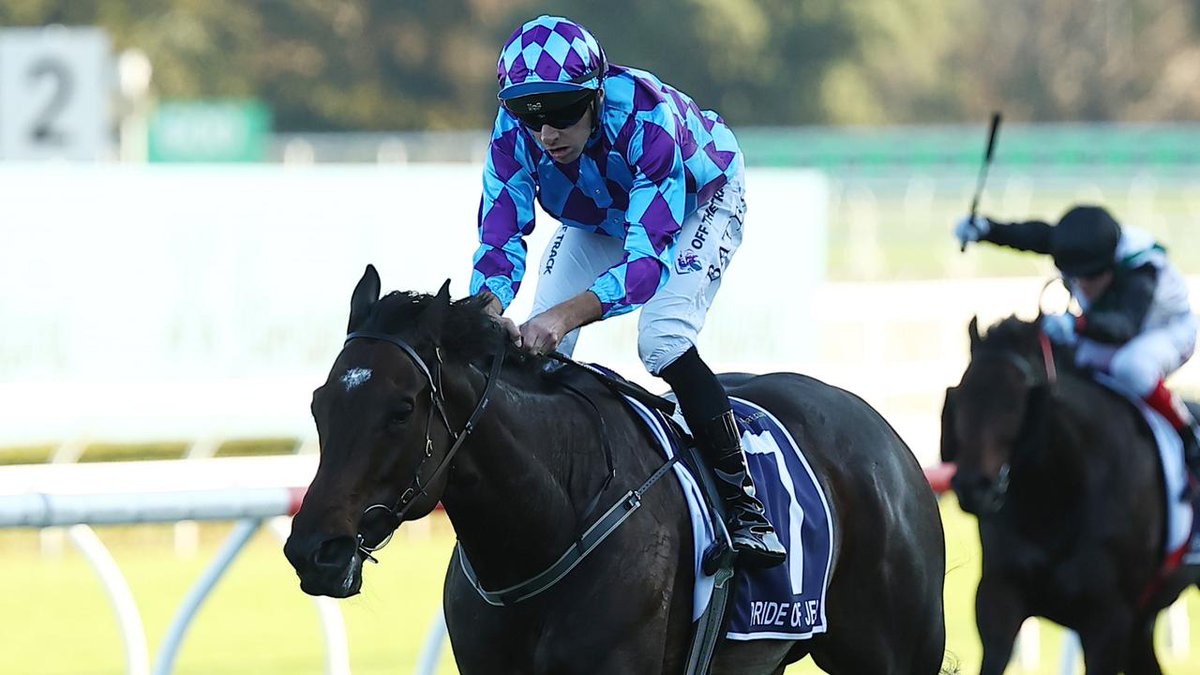 Trainer Ciaron Maher and owner Tony Ottobre discussed the idea of training Pride Of Jenni for the Melbourne Cup 😲 STORY: tinyurl.com/9feaee67