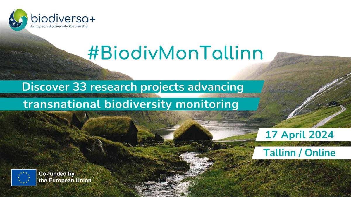 📢 Calling all #Biodiversity enthusiasts! #BiodivMonTallinn Day 2 in 30 min! ⏰ Keynotes on EBOCC & long-term marine monitoring + Discover the 33 funded projects tackling transnational biodiversity & ecosystem change monitoring! Join us! 👉 us06web.zoom.us/w/84131276202?…