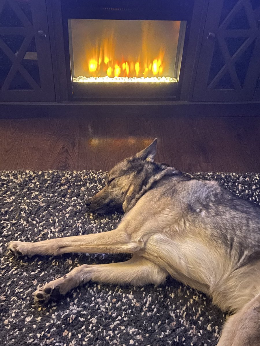 Kita is happy we’re all home again 🥰😘🔥