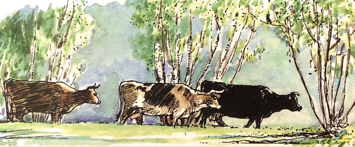 Along the narrow carpet ride, With primroses on either side, Between their shadows and the sun, The cows came slowly, one by one, Breathing the early morning air And leaving it still sweeter there. ~A.A.Milne #wednesdaythought #spring