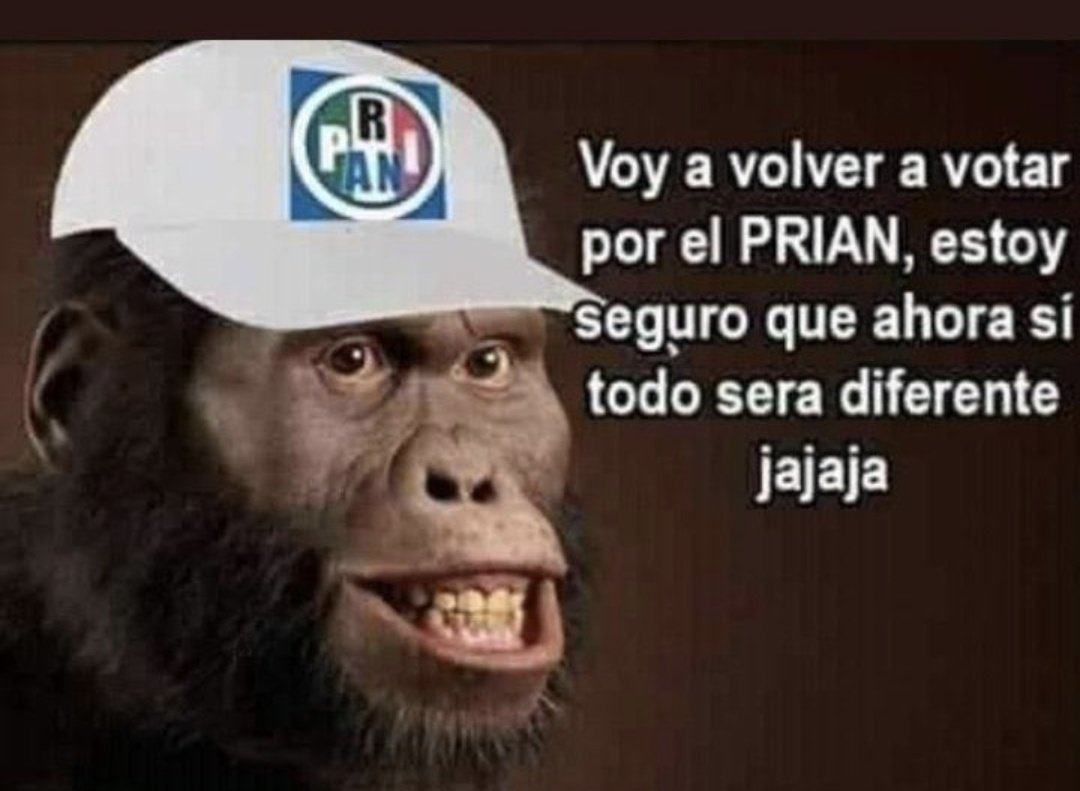 GARGAMEL tweet media