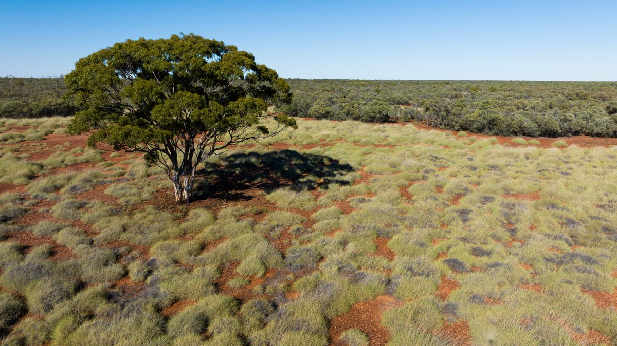 A new national park in the Lake Eyre Basin that's bigger than Yosemite. We’ve just bought the 350,000-hectare Vergemont Station with the help of @nature_org. It’s one of Queensland’s largest acquisitions in a very long time.