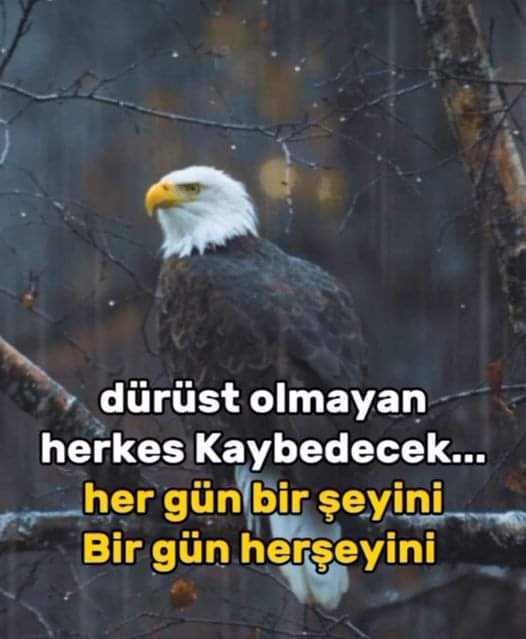 62ozgr's tweet photo. Rojbaş &amp; günaydinlar güzel yürekli insanlar ... https://t.co/ZL5n7Y3lgm