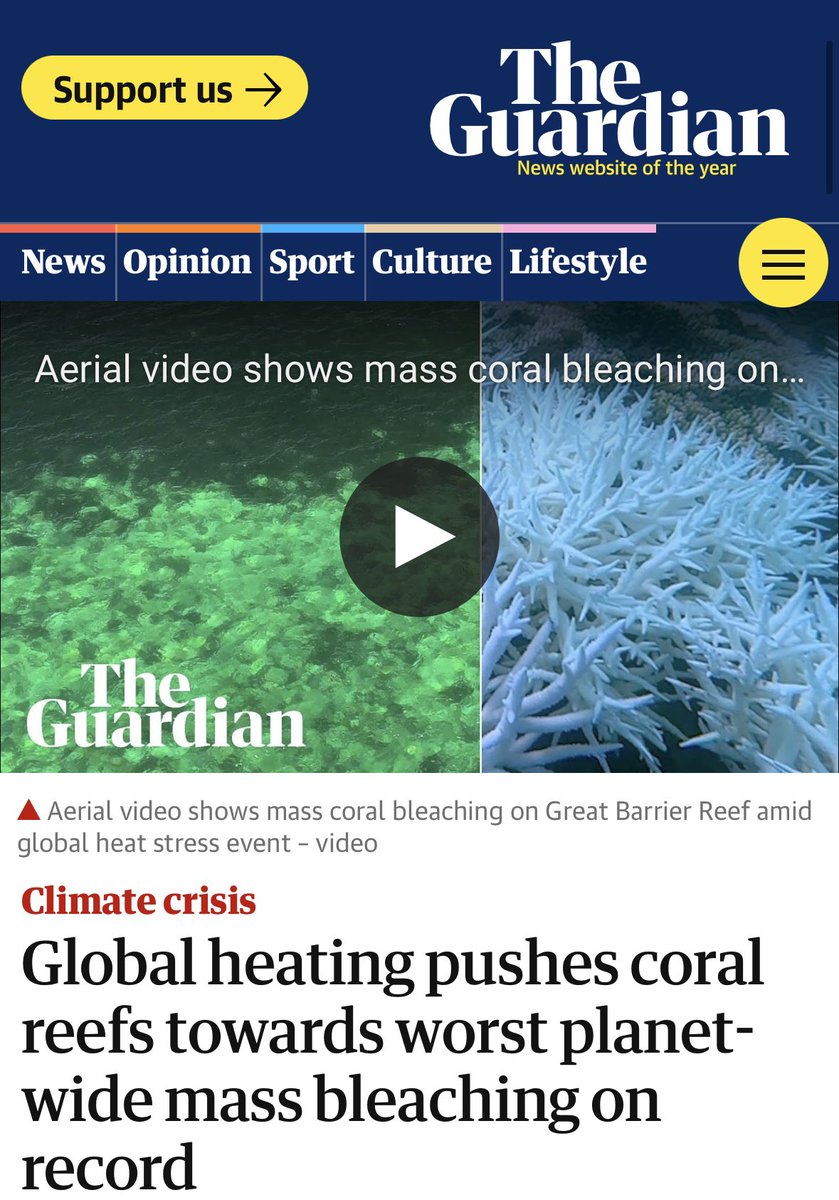 And yet @tanya_plibersek and the Albanese Labor government continue to gaslight us and the world by saying the Barrier Reef is doing fine. Absolutely criminal. RIP EARTH’S CORAL REEFS 🪸🐠☠️ #ClimateEmergency #RebelForLife amp.theguardian.com/environment/20…