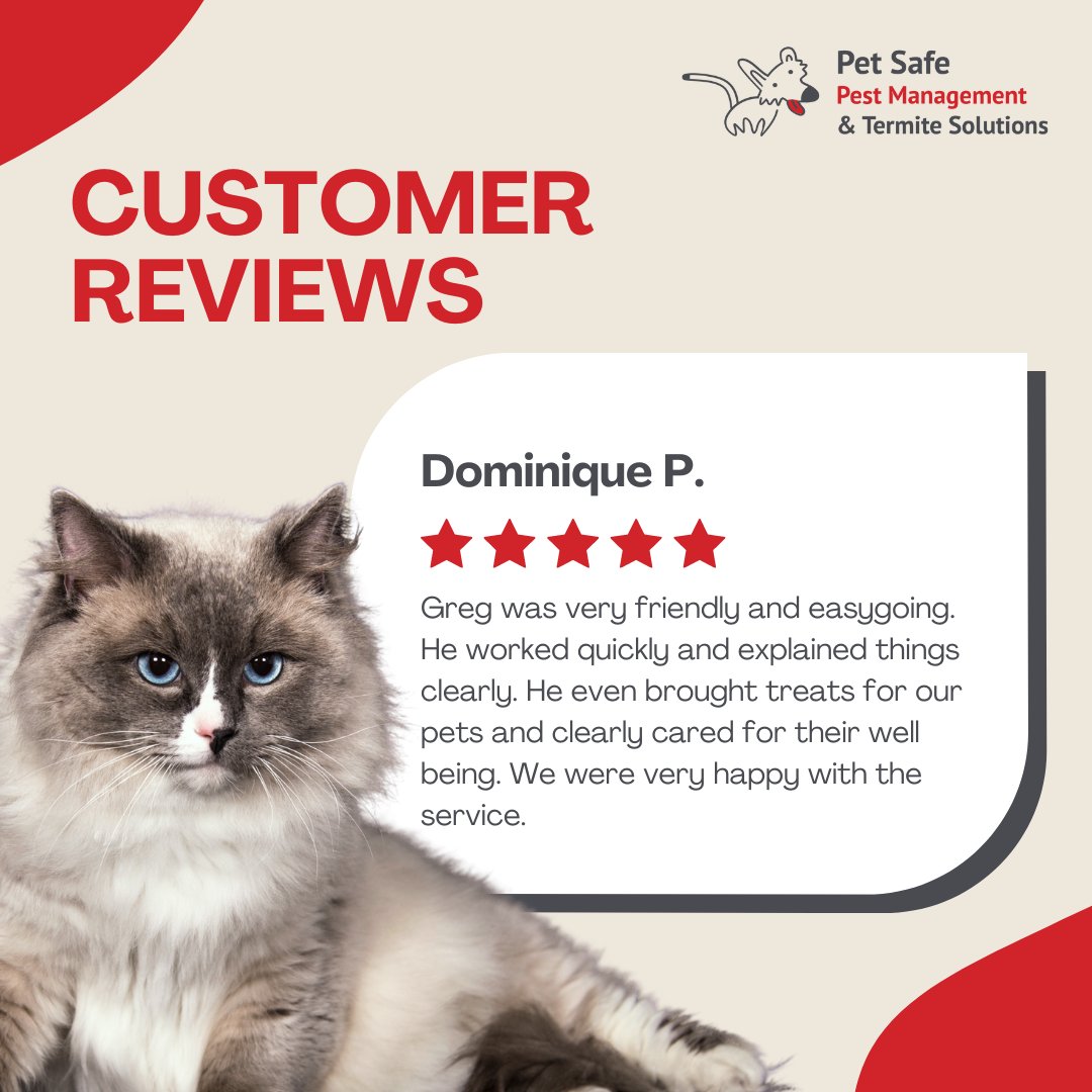 PetPest's tweet photo. 🌟 Big thanks to Dominique for the positive review! 🐾✨
Check out our Pet-Friendly Pest Management services: https://t.co/5UYBZgqpgs
#CustomerAppreciation #HappyCustomers #PetSafePestManagement #PSPM #PestControl #TermiteSolutions #SafeHomes #EcoFriendlyPestControl https://t.co/lI7CnaIYX9