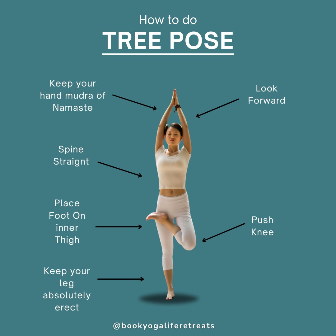 Finding your roots ! Tree Pose (Vrksasana) strengthens balance, focus, and stability, both on and off the mat. 

#TreePose #YogaBalance #YogaLife #yoga #yogateacher #yogainspiration #trending #dailypost