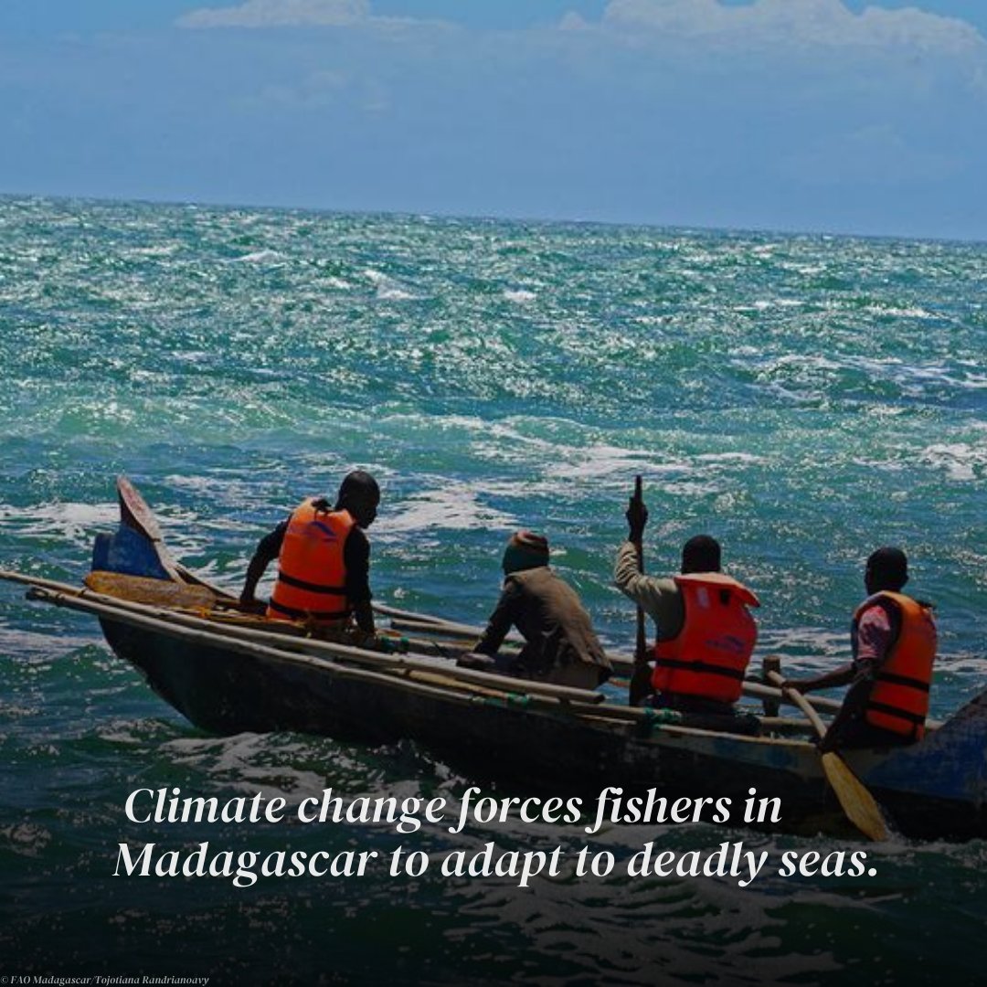 UN Environment Programme tweet media
