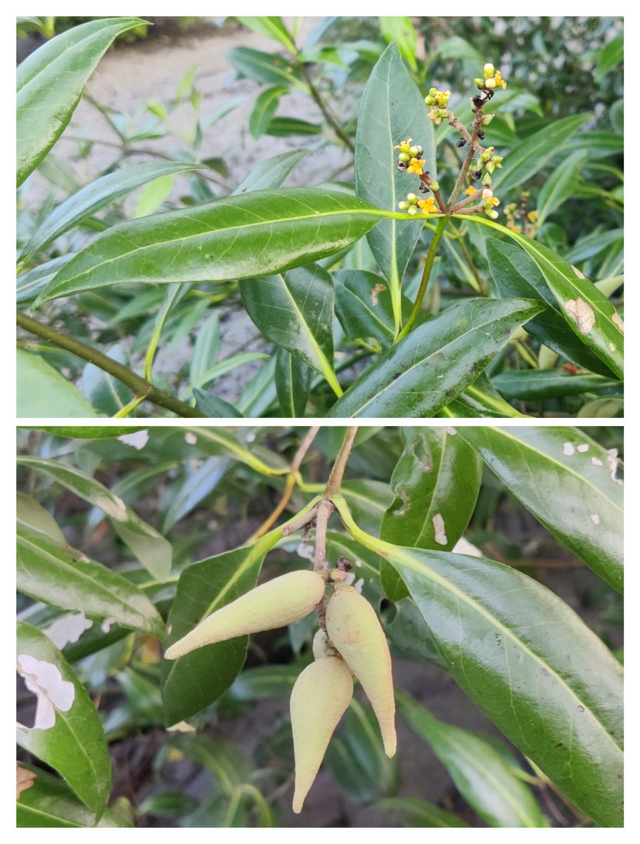 Nehru Prabakaran tweet media