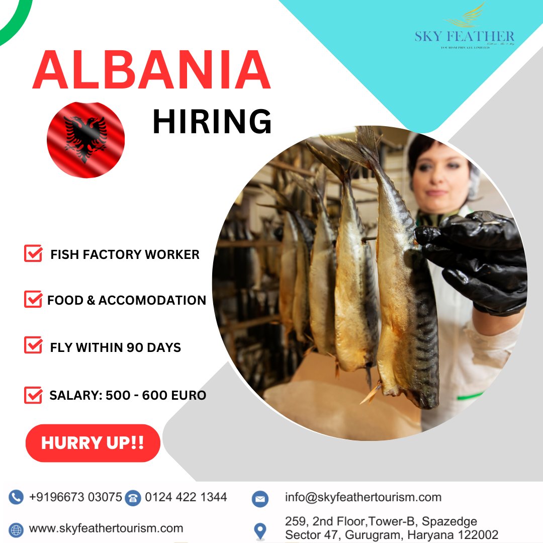 Albania hiring Fish worker
⭐️💫Process time - 90 days 💦✨
🍁Visa 100% sure shot⚡️
Albania Visa Required Document
👉Jobs Categories - Packaging
✈️Salary  - 500 Euro to 600Euro🌌
👉For more information contact🤝
+91 74286 40070
#skyfeathertourism #AlbaniaJobs #FishWorkerNeeded