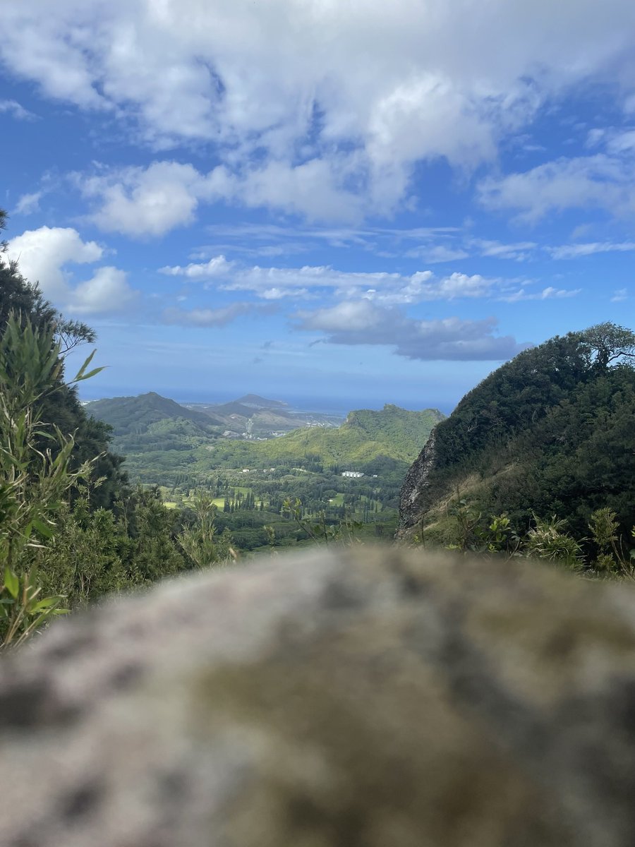 oceanmvnt tweet media