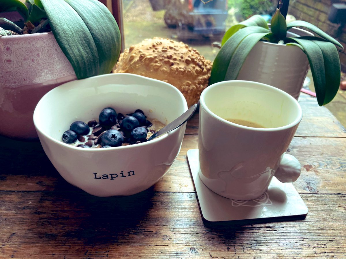 Lapin Mignon 🐝 tweet media