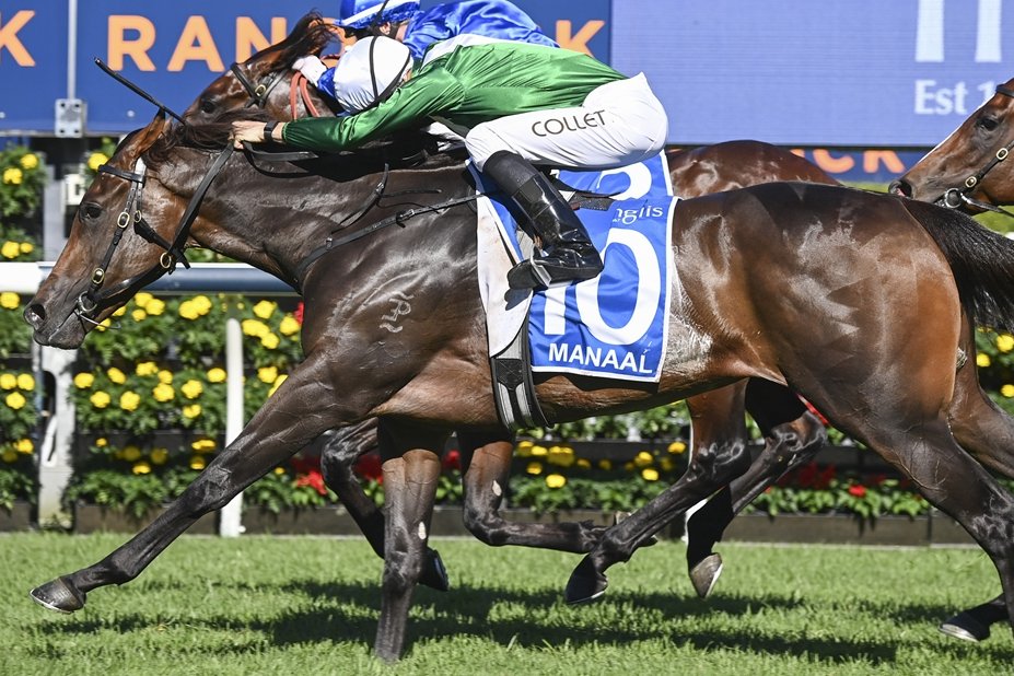 'I think she goes into Saturday in pretty good nick.” Michael Freedman says Manaal, set to be the only 2yo to have contested all three Triple Crown legs in 2024, continues to thrive ahead of the G1 Champagne Stakes at Randwick. 📸 @Bradley_Photos READ: tinyurl.com/596k7cd7