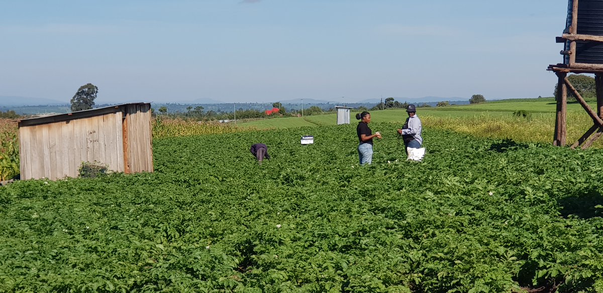 Agri Innovation Hub tweet media