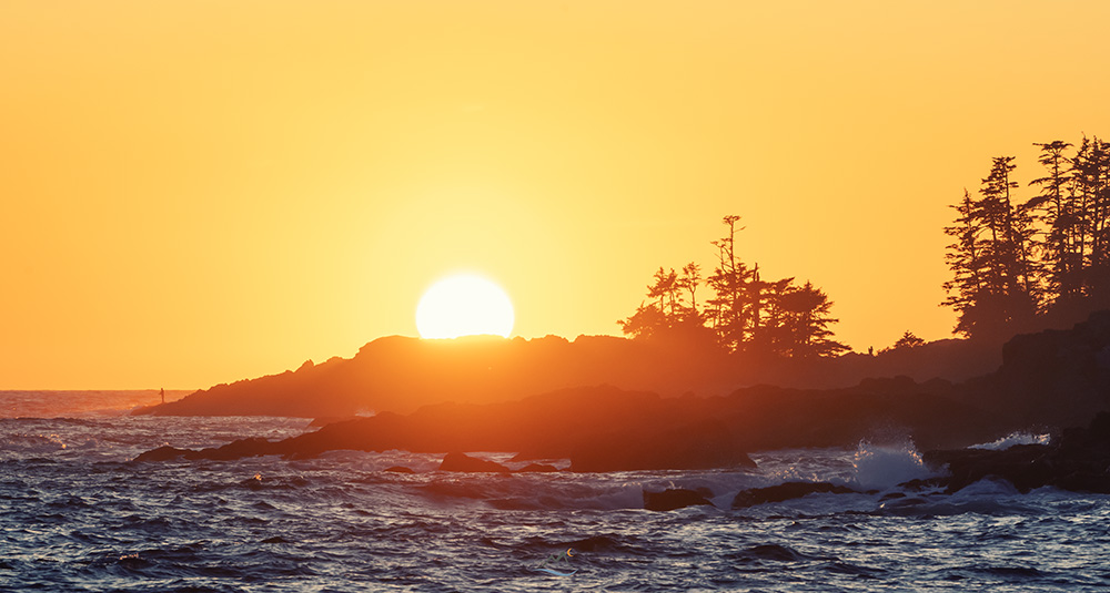 Good night from Ucluelet, BC 🤙🏻