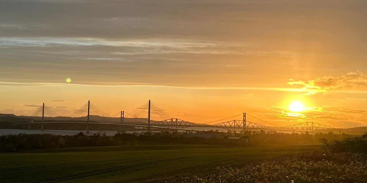 Got to love coming off the night shift and seeing these in the morning on your route home. 😍