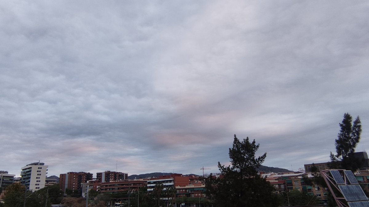 #Bondia. #Dimecres 17/4/24. Estació meteorològica del #BarriCentre de #Cornellà. Dades actualitzades a les 7:20' hores: -T 12,4°C (T Mínima) -HR 62% -Pressió 1016,0 hPa -#Vent del NNE. 6 km/h -T Màxima 15,7°C -Ratxa màxima Vent del NNE. 25 km/h El cel a Cornellà, ara.👇