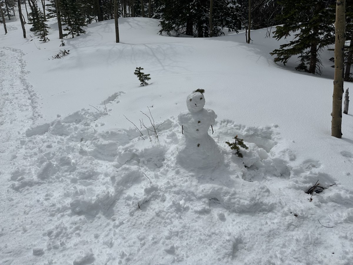 I go into the back country of the Rocky Mountains to see the natural scenery and the wildlife.