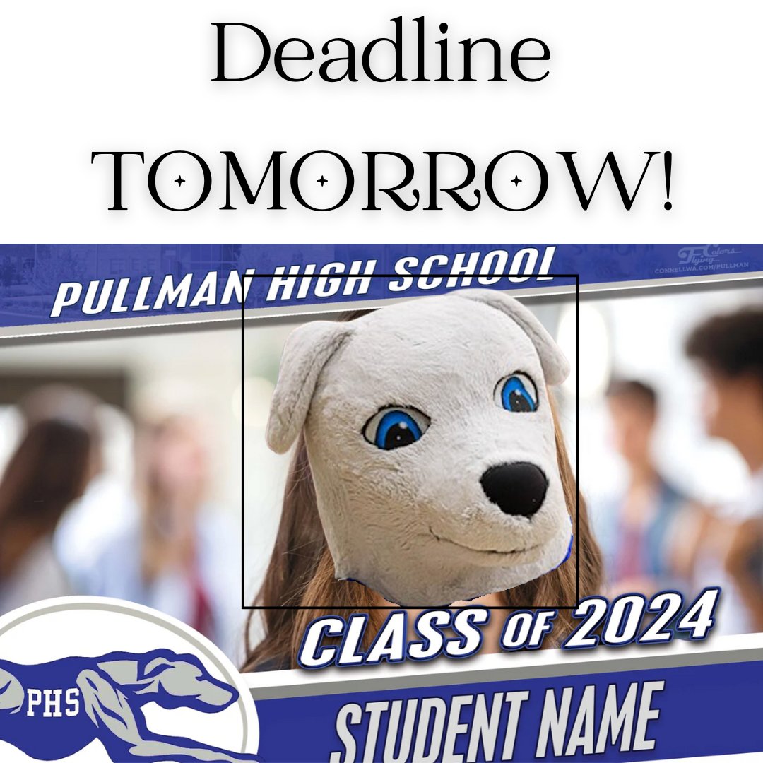 🩵👉 Be sure to order your yard sign or poster by April 17! 🎓✨ Want your grad to shine bright? 🌟 Be sure to REPLY to your confirmation email with the perfect photo of your grad, and they'll be front and center for all to see! 📸 💙 connellwa.com/pullman