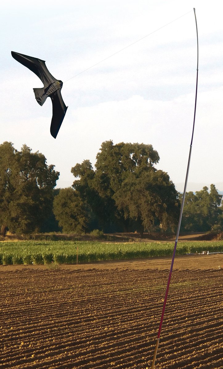 WineClassifieds's tweet image. Scarybird Scares Pest Birds Away
#Scarybird #BirdScare #BirdControl #PestControl #viticulture #vineyard #winegrapes #Wine #Harvesting #GrapeHarvesting #WineGrapes #Grapes #wineries #wineindustry #VineyardEquipment @wgcsa_ @WGGAinfo @ASVOtweet 
wineindustryclassifieds.com.au/Classified/sca…