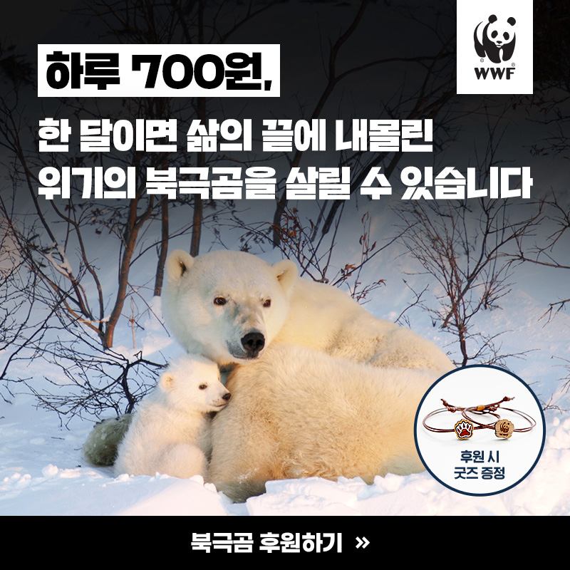 _WWFKorea_'s tweet photo. 북극곰의 위기는 지구의 위기입니다🌏

하루 700원, 가치있는 소비로
생존의 벼랑 끝에 서 있는
북극곰을 도와주세요!

#WWF #세계자연기금 #멸종위기동물 #동물보호 #북극곰보호 #북극곰살리기 #북극곰후원
