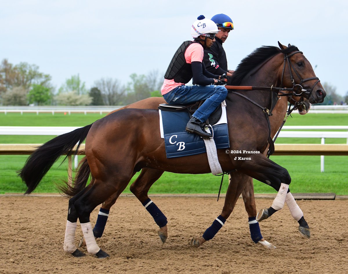 Frances J Karon tweet media