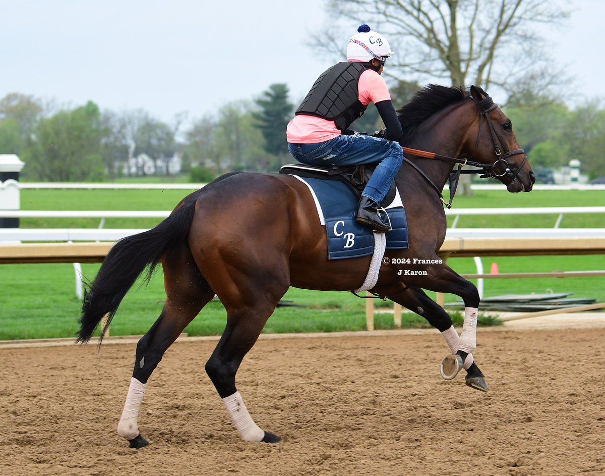 Frances J Karon tweet media